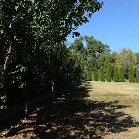 Prijatan Odmor U Bijeljini